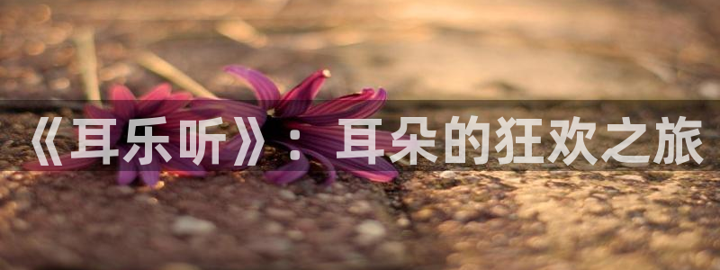 天顺娱乐：《耳乐听》：耳朵的狂欢之旅