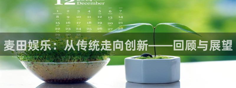 天顺娱乐：麦田娱乐：从传统走向创新——回顾与展望