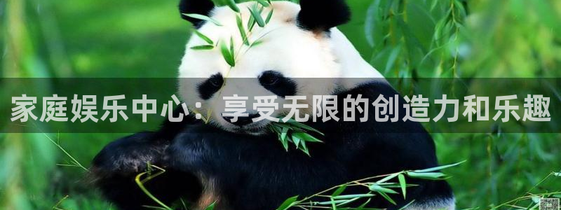 天顺娱乐：家庭娱乐中心：享受无限的创造力和乐趣