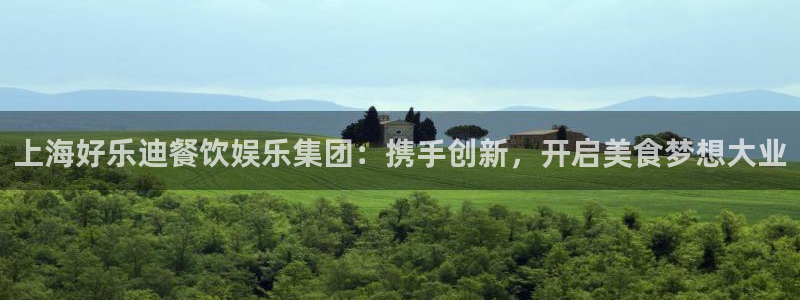 天顺娱乐：上海好乐迪餐饮娱乐集团：携手创新，开启美食梦想大业