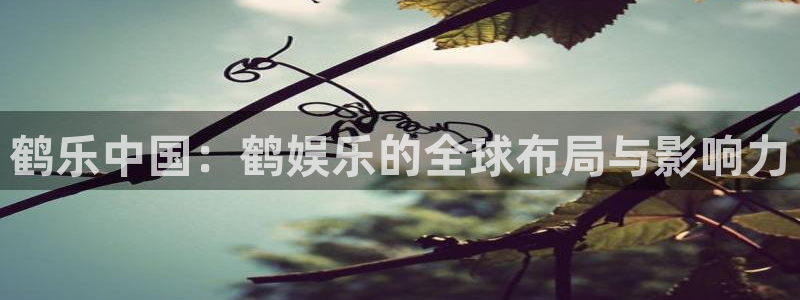 天顺娱乐：鹤乐中国：鹤娱乐的全球布局与影响力
